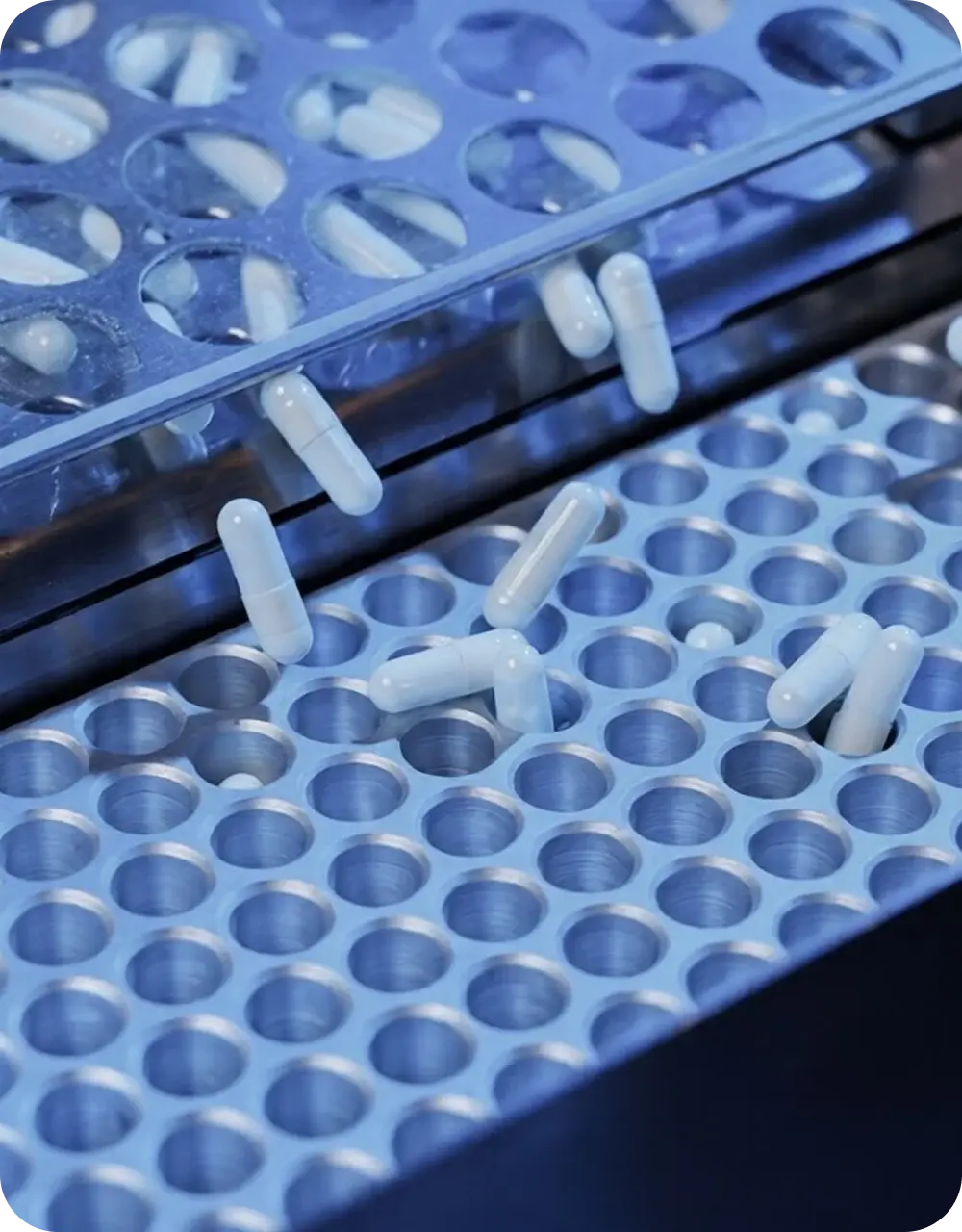 Capsules being sorted in a pharmacy tray