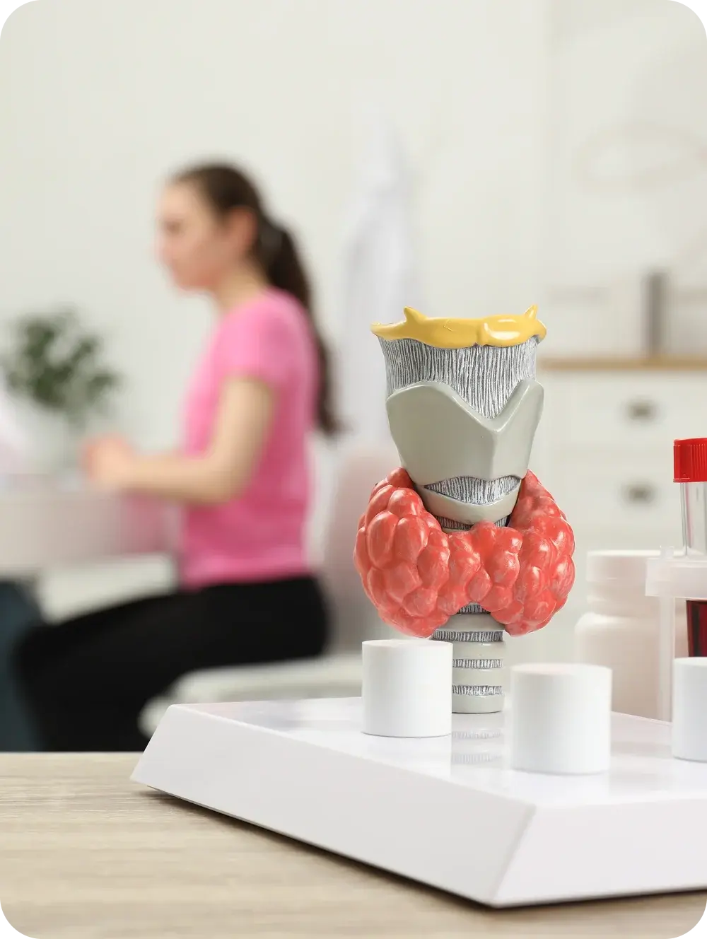 Model of a thyroid gland on a doctor’s desk